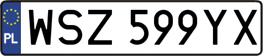 WSZ599YX