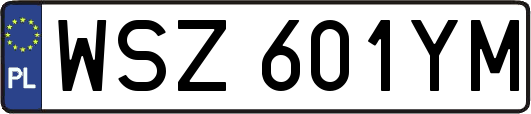 WSZ601YM