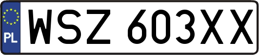 WSZ603XX