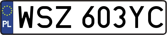 WSZ603YC