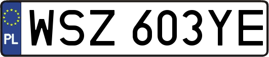 WSZ603YE