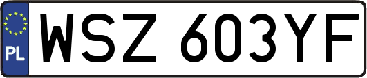 WSZ603YF