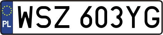 WSZ603YG