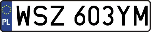WSZ603YM