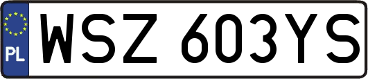 WSZ603YS