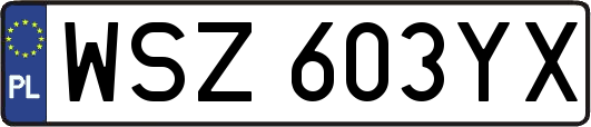 WSZ603YX