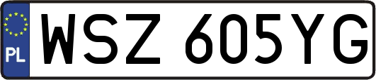 WSZ605YG