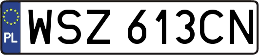 WSZ613CN
