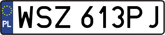 WSZ613PJ