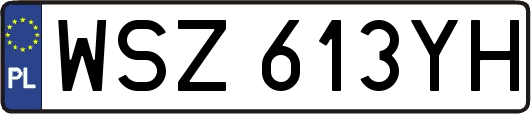 WSZ613YH
