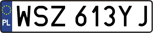 WSZ613YJ