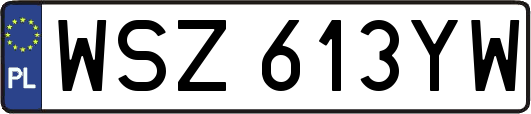 WSZ613YW