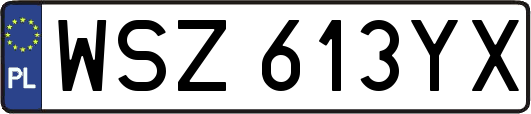 WSZ613YX