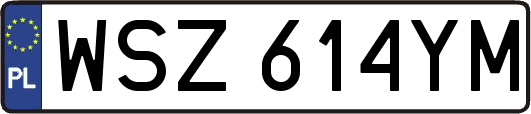 WSZ614YM