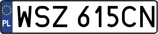 WSZ615CN