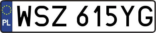 WSZ615YG
