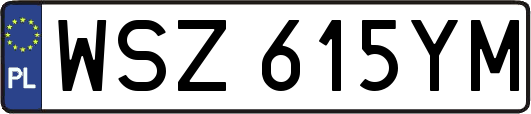 WSZ615YM