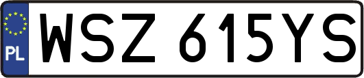 WSZ615YS
