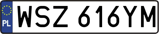 WSZ616YM