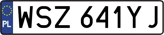 WSZ641YJ