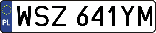 WSZ641YM