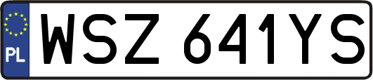 WSZ641YS