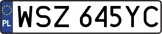 WSZ645YC