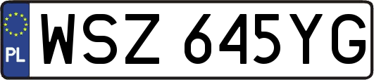 WSZ645YG