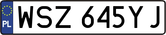 WSZ645YJ