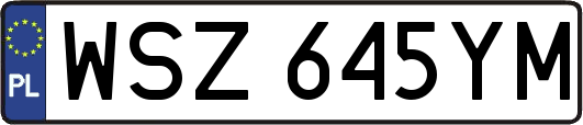 WSZ645YM
