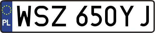 WSZ650YJ