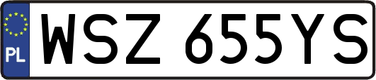 WSZ655YS