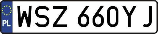 WSZ660YJ