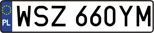 WSZ660YM