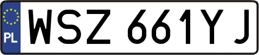 WSZ661YJ