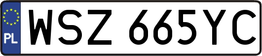 WSZ665YC