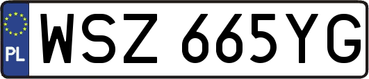 WSZ665YG