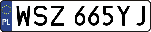 WSZ665YJ