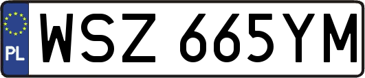 WSZ665YM