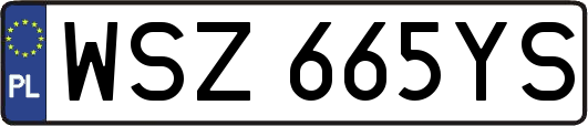 WSZ665YS