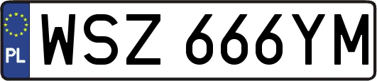 WSZ666YM