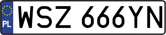 WSZ666YN