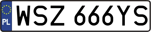 WSZ666YS