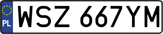 WSZ667YM