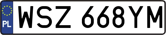 WSZ668YM