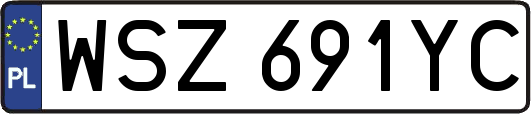WSZ691YC