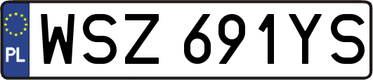 WSZ691YS