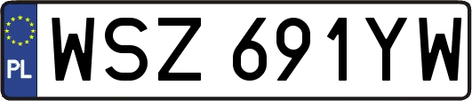 WSZ691YW