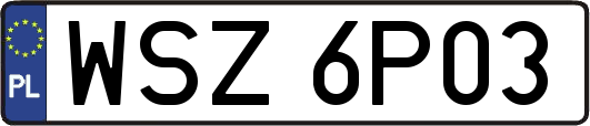 WSZ6P03
