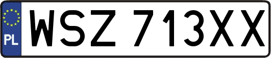 WSZ713XX